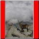 np-haute-route 2003_131.html